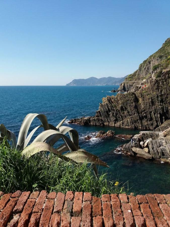 Ca'La Luna - In Centro Con Terrazza Riomaggiore Buitenkant foto